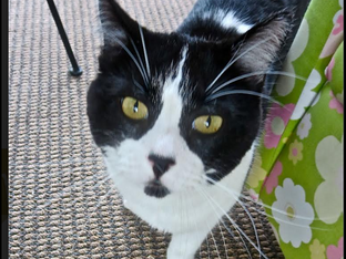 THE LOSS OF A VERY DEAR FRIEND...