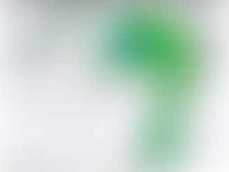 WET NOVEMBERS AND WOOLLY BEARS