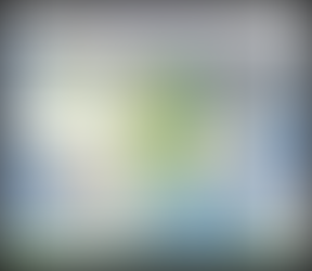 NOTHING COULD BE FINER...