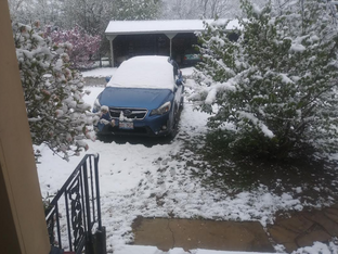 SPRING, SUCH A BEAUTIFUL TIME OF YEAR...