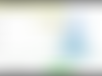 SHADES OF WHAT'S AHEAD