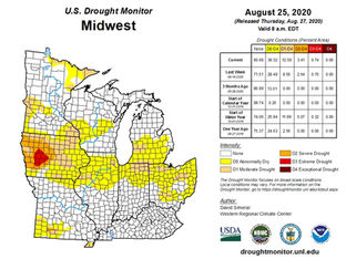 FRISKY STORMS A FRIDAY AFTERNOON OPTION...