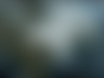 SHOW ME THE TURKEY...