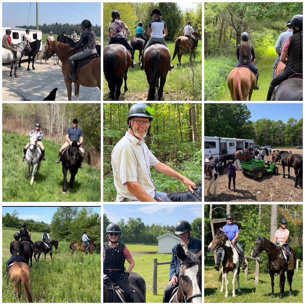Summer Ride-Home of Sarah Aston