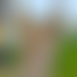 Cooper, Addie, and Rio portrait in progress 10