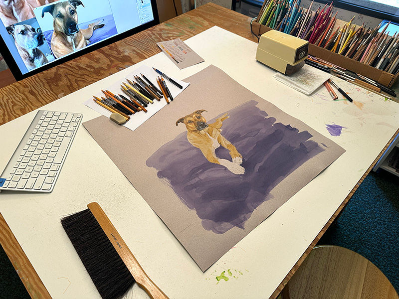 Portrait of tan dog lying on a purple blanket, in progress in Kevin's studio.