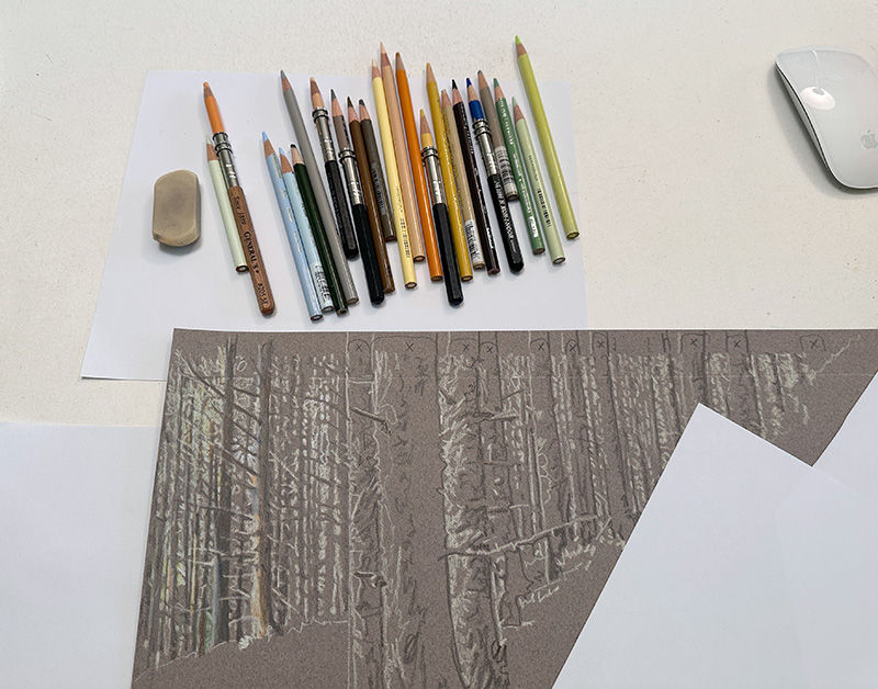 Detail of the forest background, in progress with colored pencils