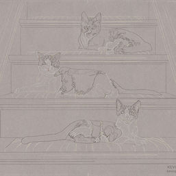 "Three Cats on Stairs" portrait in progress 1
