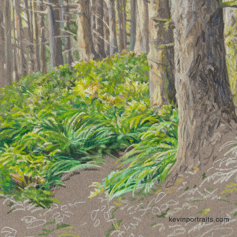 Detail of the forest background in a colored pencil portrait of an Australian Shepherd, in progress