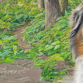 Shasta portrait in progress 14 - The path through the forest