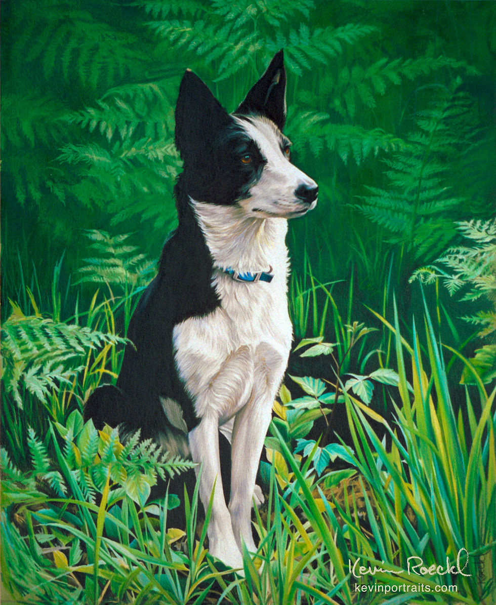 Colored pencil and watercolor portrait of a McNab dog.