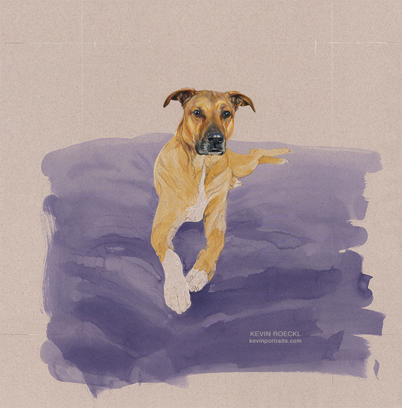 Colored pencil portrait of tan dog lying on a purple blanket, in progress