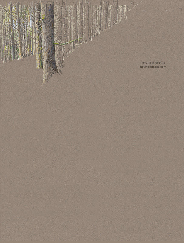 The forest background in a portrait of an Australian Shepherd, in progress