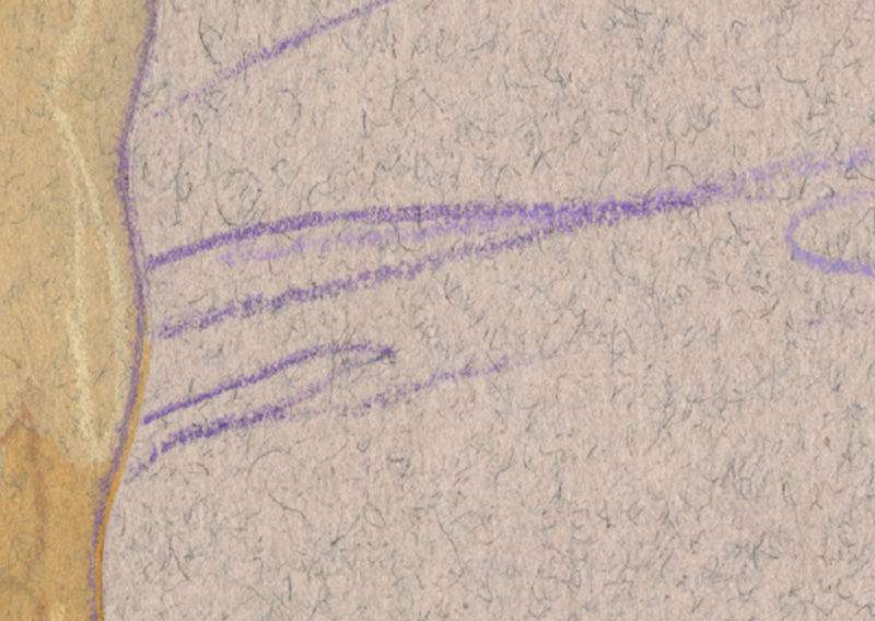 Close-up of "Moonstone" Canson Mi-Teintes paper