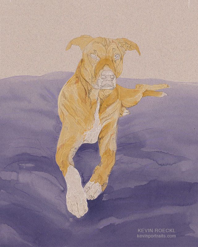 Watercolor underpainting on portrait of tan dog lying on a purple blanket, in progress