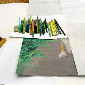 Shasta portrait in progress 18 - Left side finished...