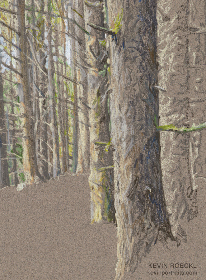 A close-up detail of the colored pencil work in the forest background, in progress