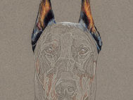 JR portrait in progress 1 - A very symmetrical head