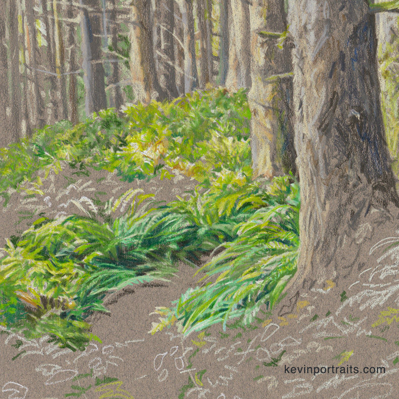 Close-up detail of the forest background in a colored pencil portrait of an Australian Shepherd, in progress