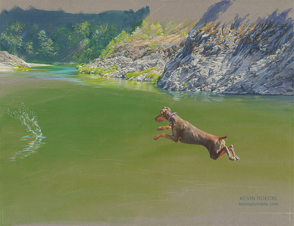 Portrait of a red Doberman leaping into a river, in progress