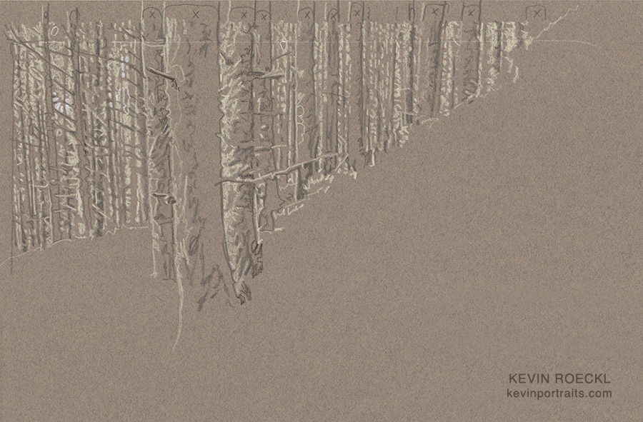 Detail of the forest background in a portrait of an Australian Shepherd, in progress