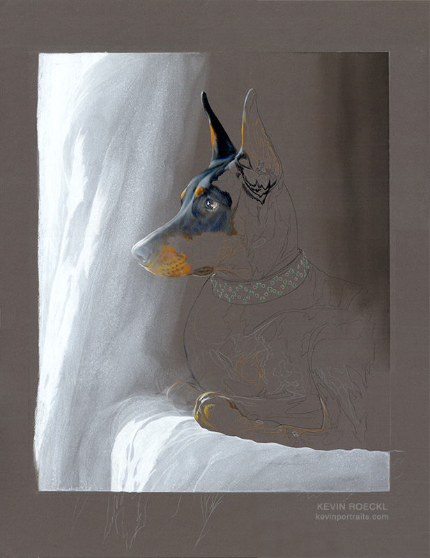Colored pencil portrait of a black and rust Doberman lying down in a dark room with light coming from a window, in progress.