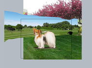 Casey portrait in progress 1 - Layout decisions