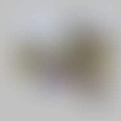 Cooper, Addie, and Rio portrait in progress 1