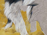 Scout portrait in progress 9 - Using the paper color
