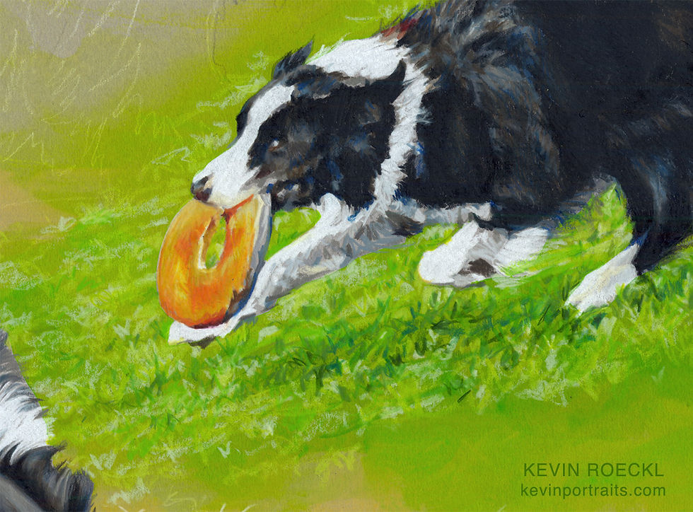 Detail of colored pencil portrait of a Border Collie, in progress.