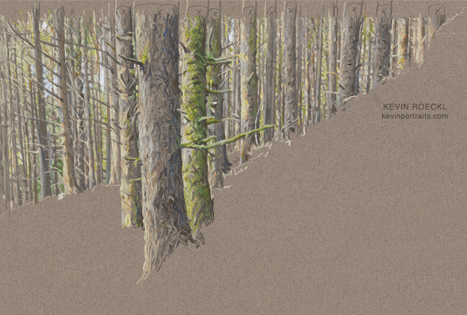 Forest background in a portrait of an Australian Shepherd, in progress