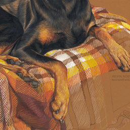 Louie portrait in progress 9