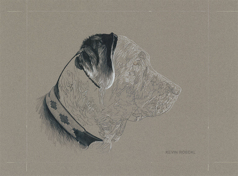 Grisaille colored pencil portrait of black Lab, Labrador Retriever dog