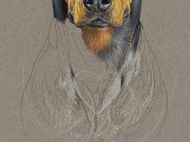 JR portrait in progress 6 - An idea that didn't work