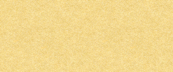 gold background.jpg