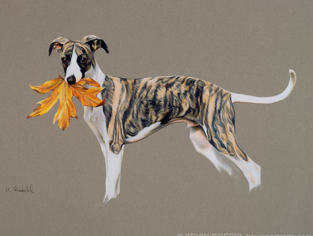 Fine Art portrait of a purebred Whippet puppy with autumn leaf