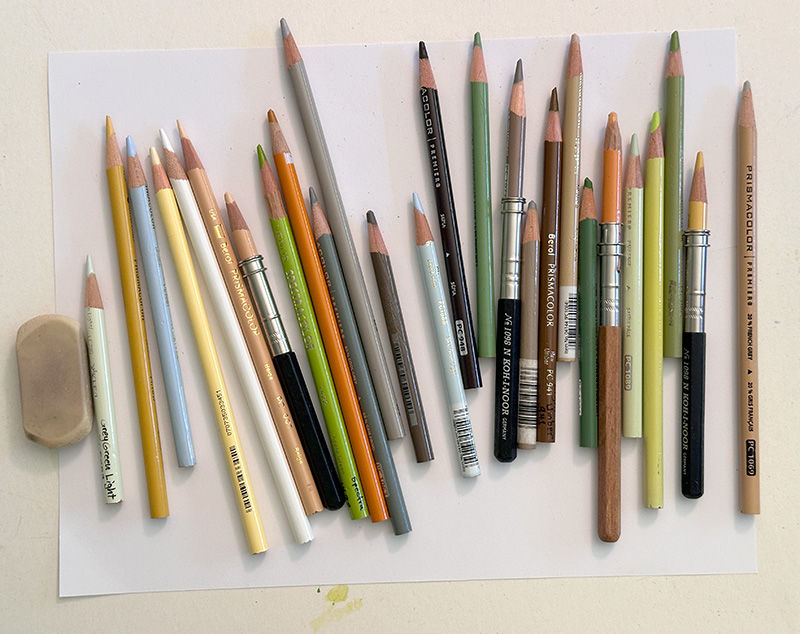 Prismacolor pencils used for the forest trees