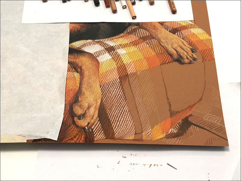Detail of a colored pencil portrait of a black Doberman on a plaid blanket, in progress