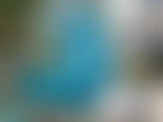 best beach clubs in bali for company events