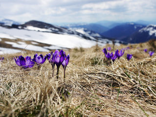 Spring at Last!