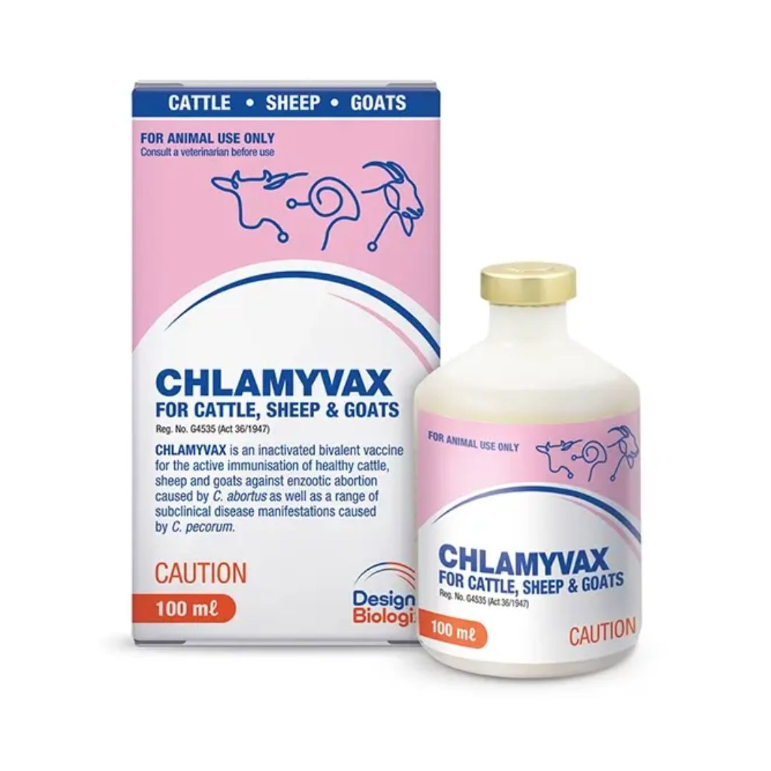 CHLAMYVAX
