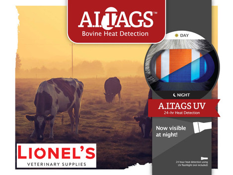 Heat Detection UV AI Tags 50s