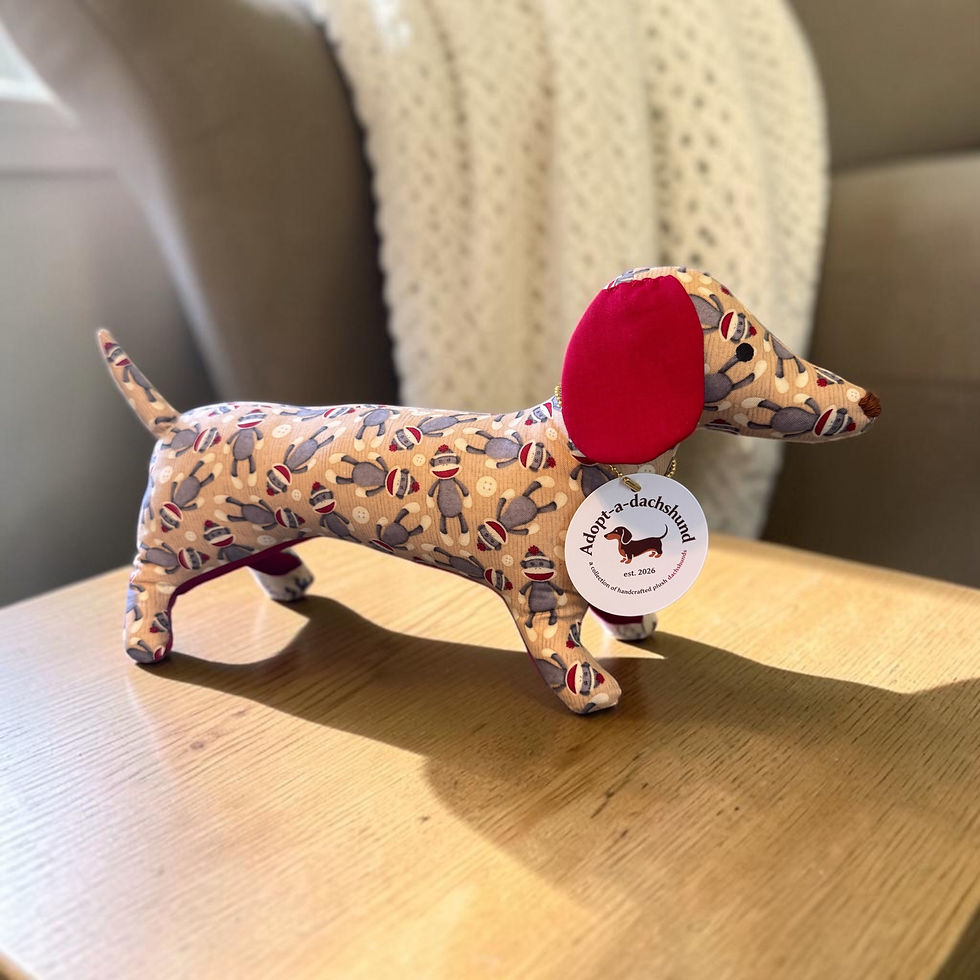 Thumbnail: Adopt-a-dachshund -  Pre-order Chunky Monkey