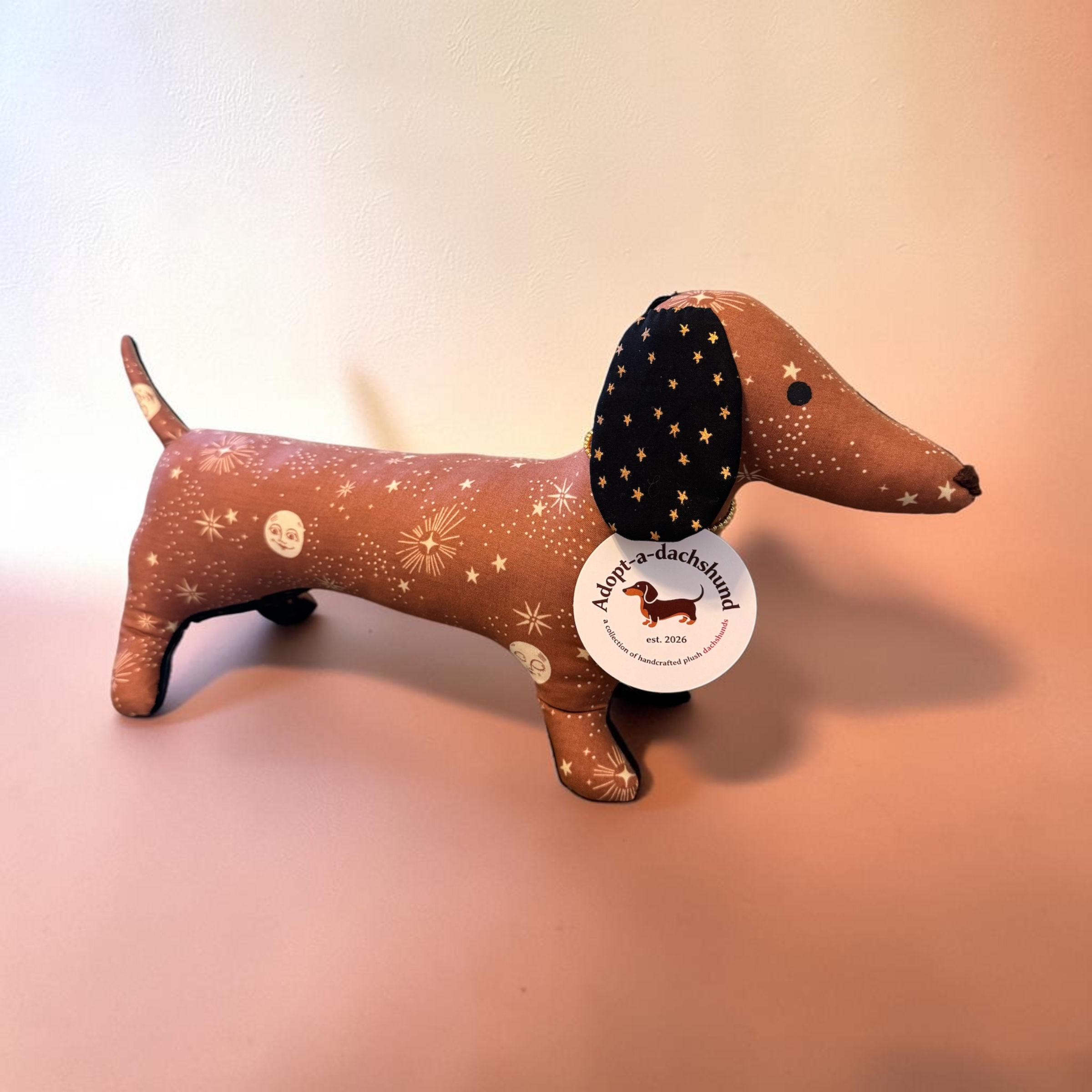 Adopt-a-dachshund - Pre-order Moon Pie