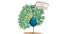 Peacock.png