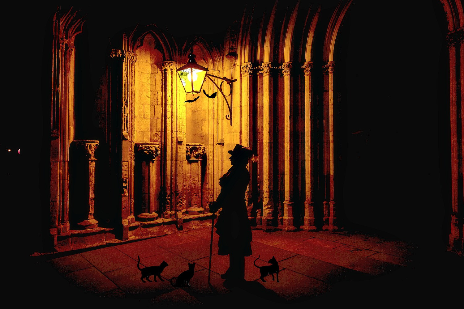 Shadows of York Ghost Walk public website photo 1