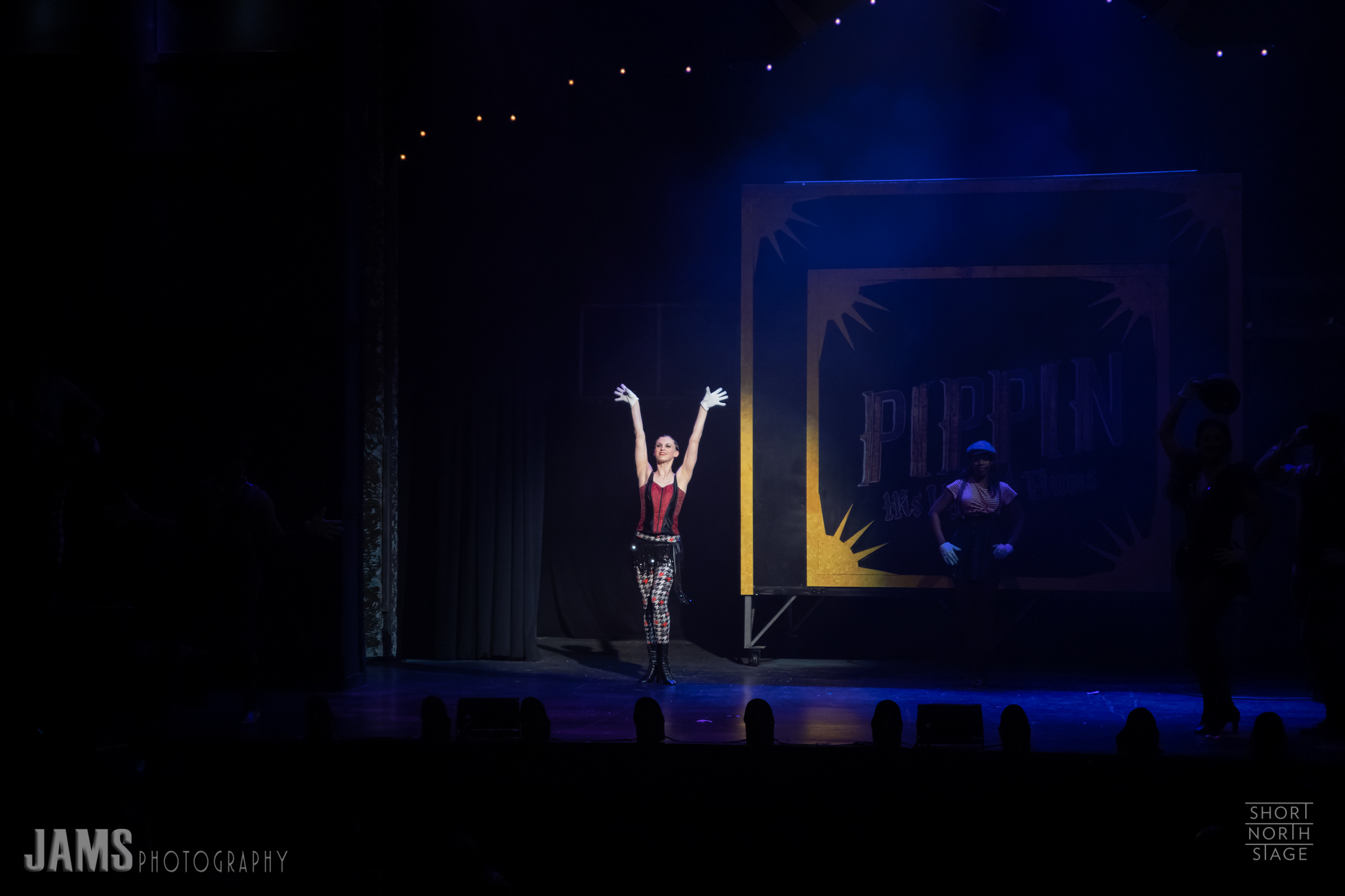 190413_2532_SNS Pippin_w-logo copy