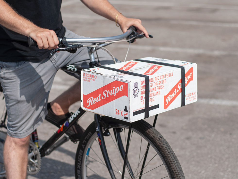 TOOB Strap on bike securing box