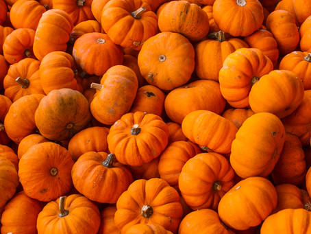 Freizeit Events Oktober 2019