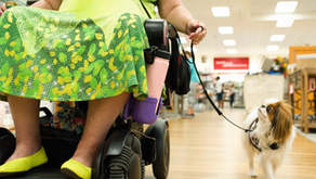 ¿Qué es la Prueba de Acceso Público para Perros de Asistencia Médica?